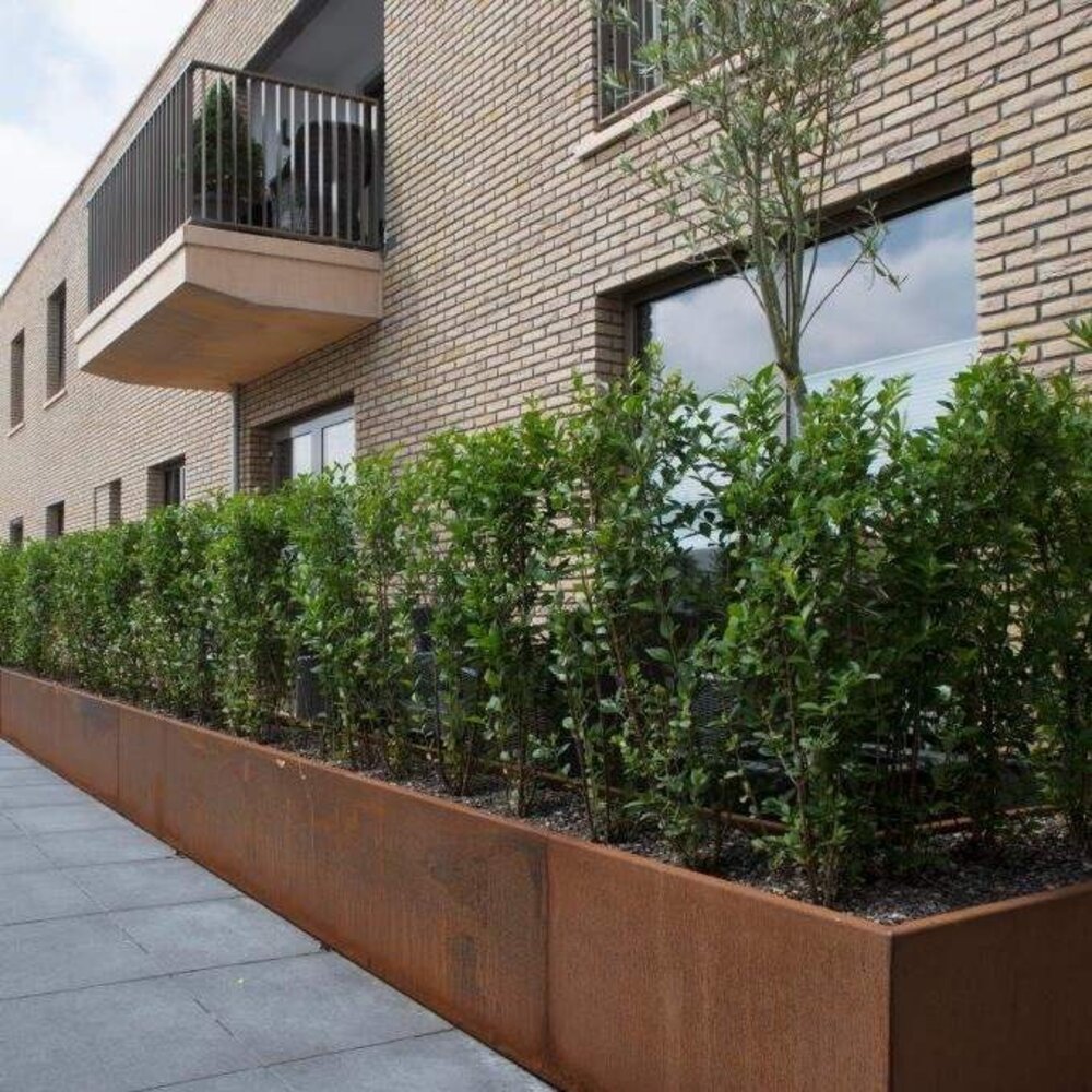 Keerwand cortenstaal 150 x 30 cm recht Keerwand cortenstaal 150 x 30 cm recht