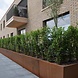 Keerwand cortenstaal 100 x 20 cm recht Keerwand cortenstaal 100 x 20 cm recht