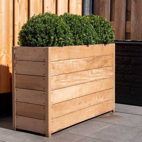 Sevilla 200x50x58 cm houten bloembak Sevilla 200x50x58 cm houten bloembak