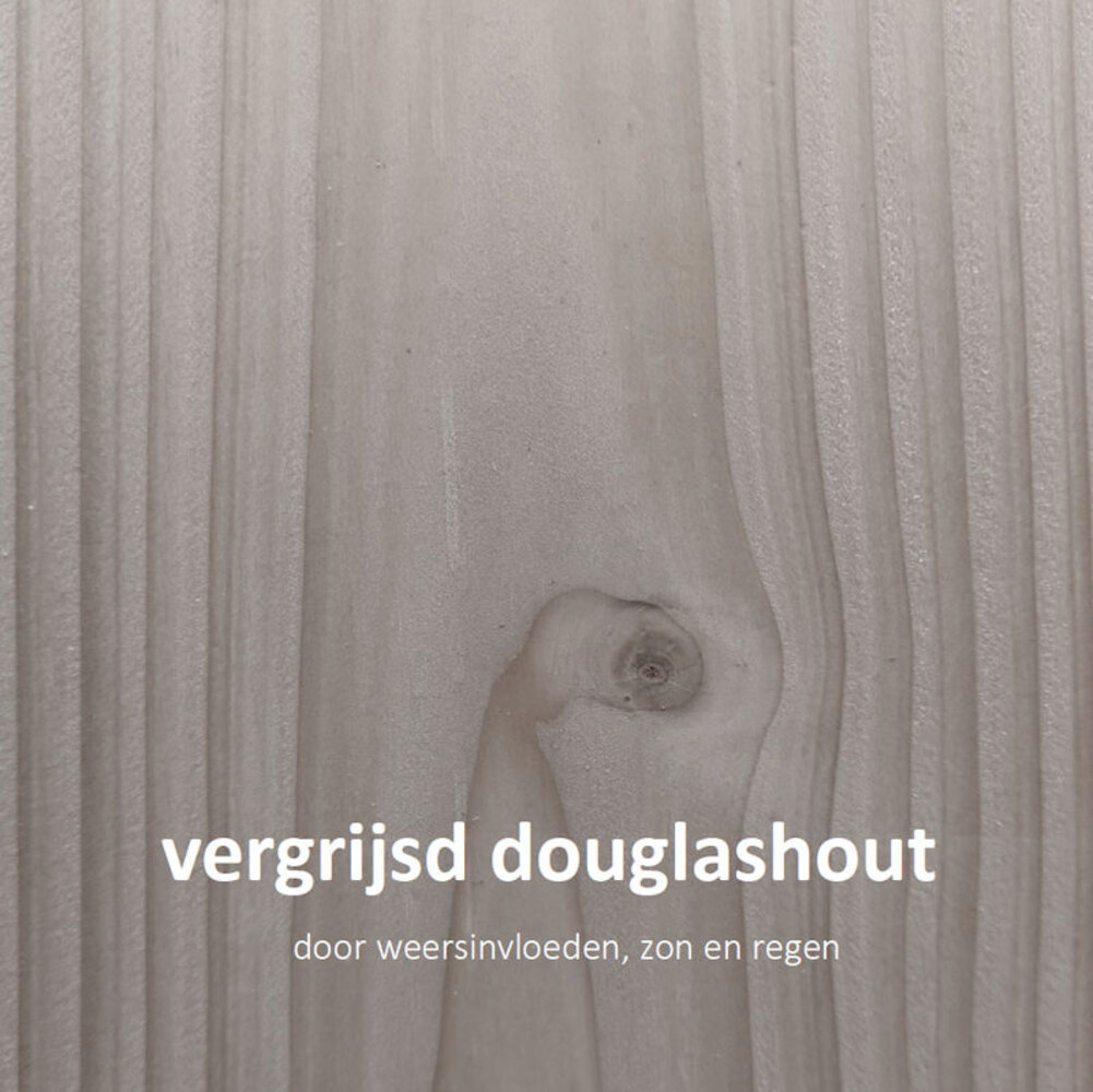 tuinhuis Kubix Douglas 200 x 300 cm + 200 cm overkapping tuinhuis Kubix Douglas 200 x 300 cm + 200 cm overkapping