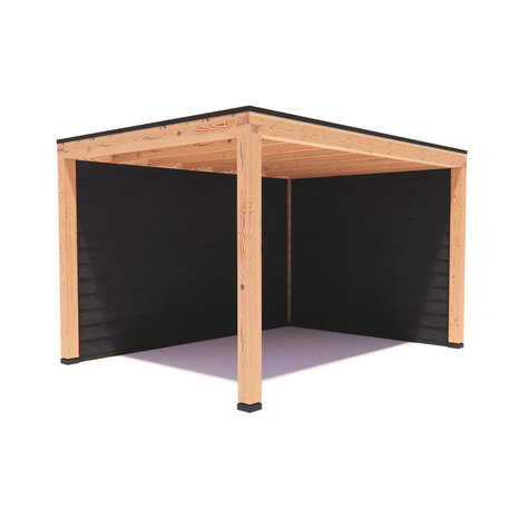 Overkapping Evin  Basis douglas 400 x 300 cm vrijstaand