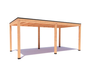 Overkapping Florijn  Basis douglas 600 x 300 cm vrijstaand