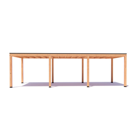 Overkapping Mick  Basis douglas 900 x 300 cm vrijstaand Overkapping Mick  Basis douglas 900 x 300 cm vrijstaand