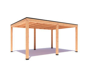 Overkapping Jody  Basis douglas 500 x 350 cm vrijstaand