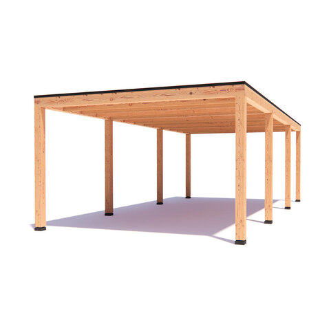 Overkapping Indy  Basis douglas 800 x 400 cm vrijstaand