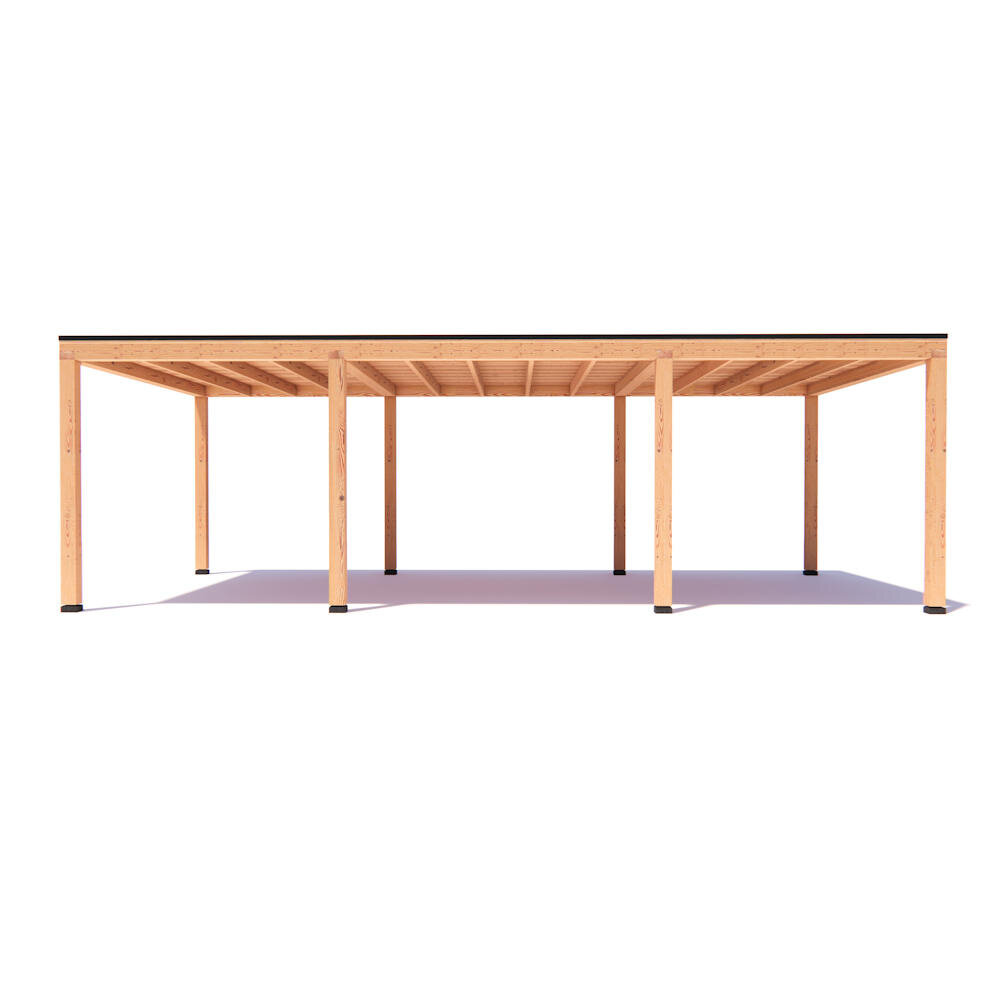 Overkapping Indy  Basis douglas 800 x 400 cm vrijstaand