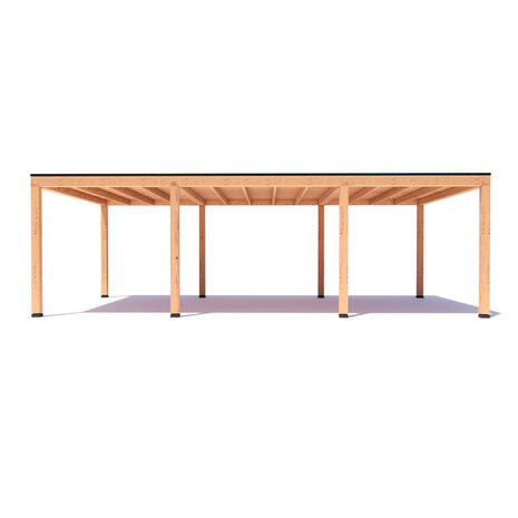 Overkapping Indy  Basis douglas 800 x 400 cm vrijstaand