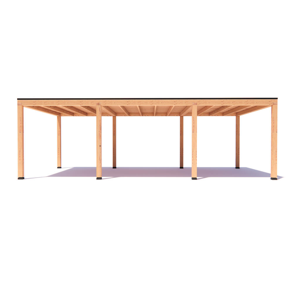 Overkapping Indy Basis douglas 800 x 400 cm vrijstaand