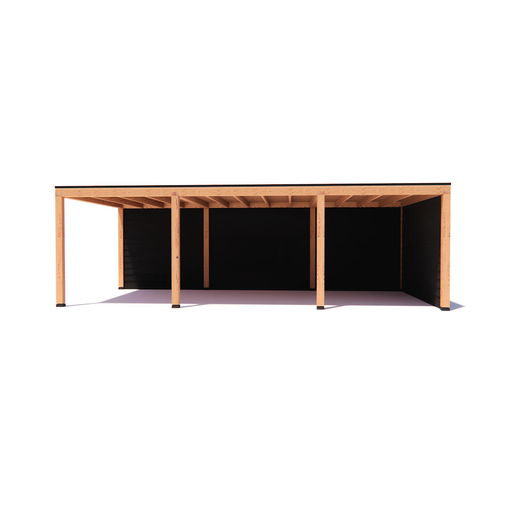 Overkapping Indy Basis douglas 800 x 400 cm vrijstaand