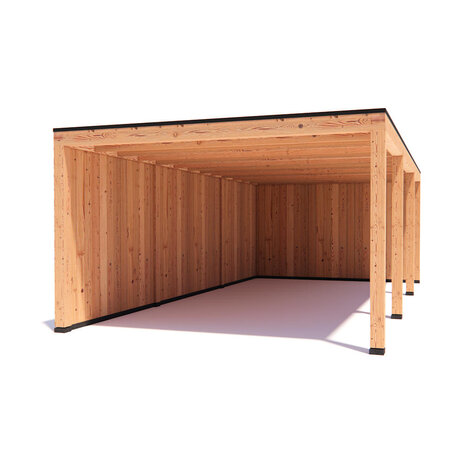 Overkapping Indy  Basis douglas 800 x 400 cm vrijstaand