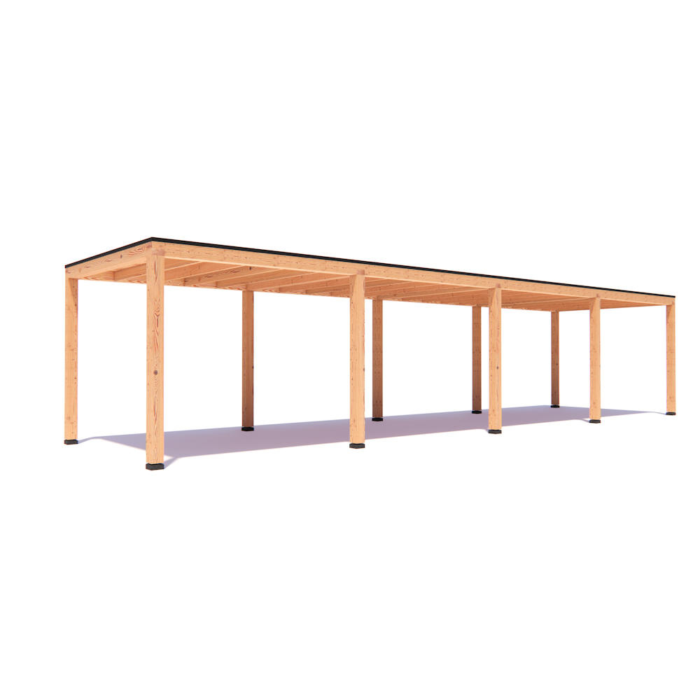 Overkapping Leo Basis douglas 1200 x 300 cm vrijstaand afbeelding
