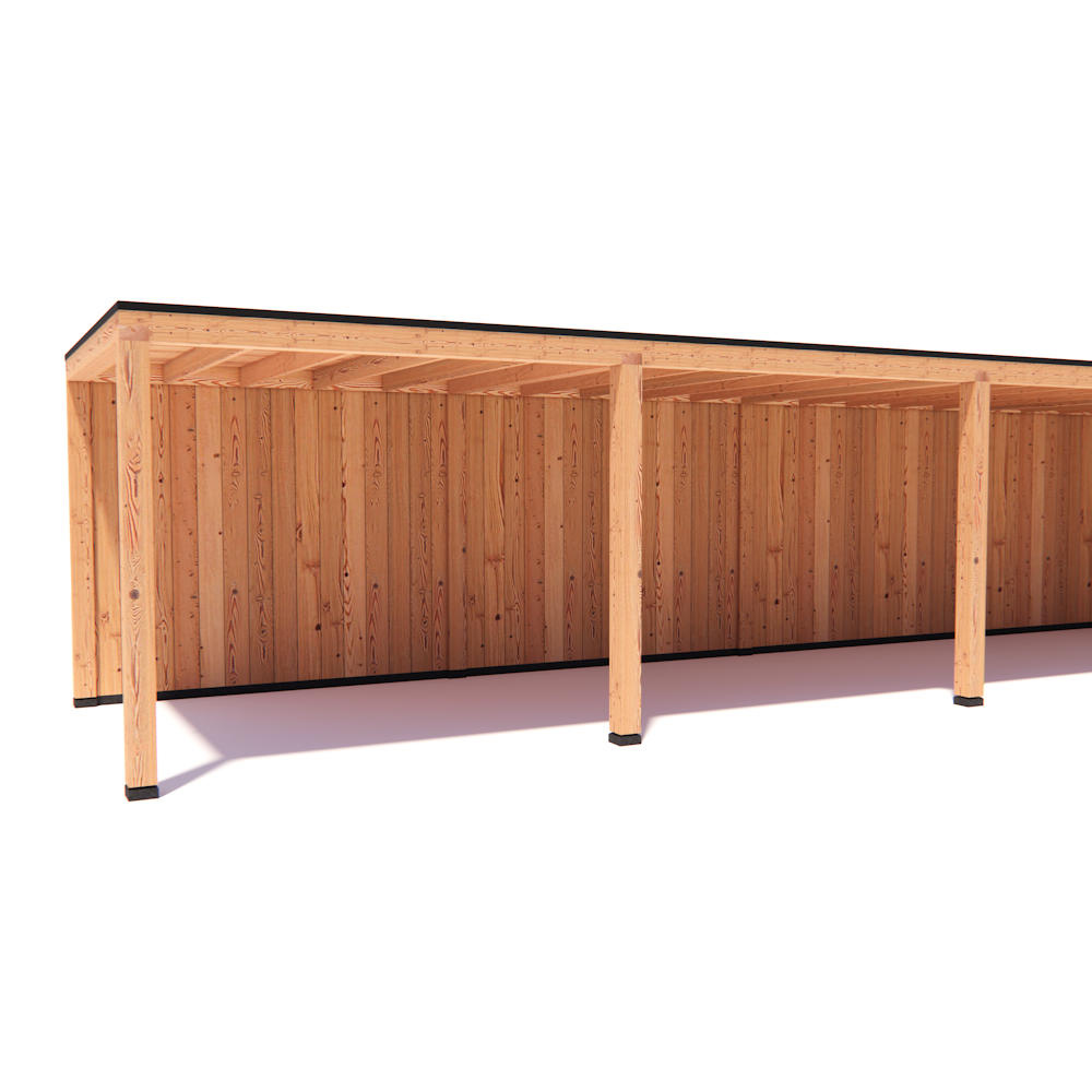 Overkapping Leo Basis douglas 1200 x 300 cm vrijstaand