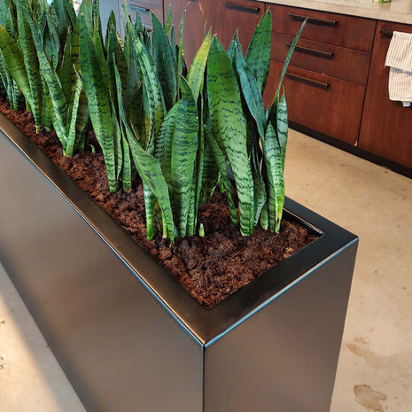 FLORIDA aluminium 200x40x80 cm plantenbak FLORIDA aluminium 200x40x80 cm plantenbak