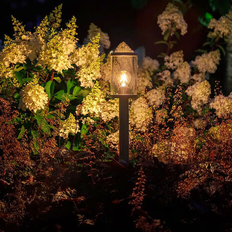 Lightpro Eros Hi 12V Lightpro Eros Hi 12V