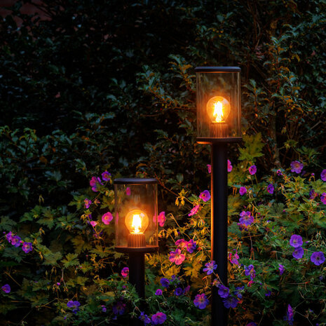 Lightpro Eros Hi 12V Lightpro Eros Hi 12V