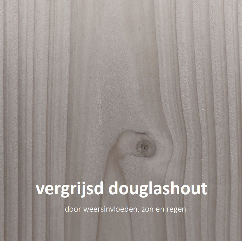 tuinhuis Kubix Douglas 250 x 250 cm + 300 cm overkapping