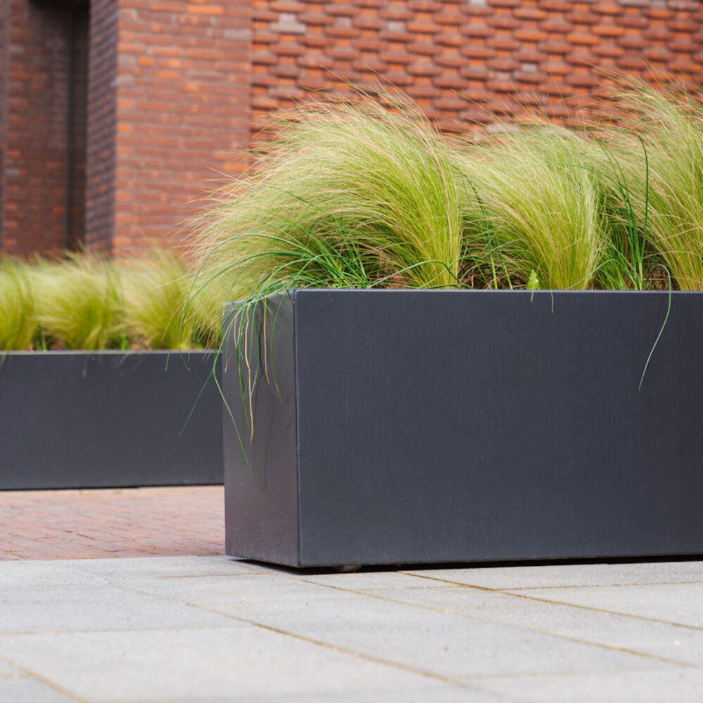 Buxus polyester 50x50x80 cm met wielen plantenbak Buxus polyester 50x50x80 cm met wielen plantenbak
