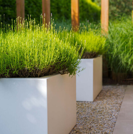 Buxus polyester 100x100x40 cm plantenbak Buxus polyester 100x100x40 cm plantenbak