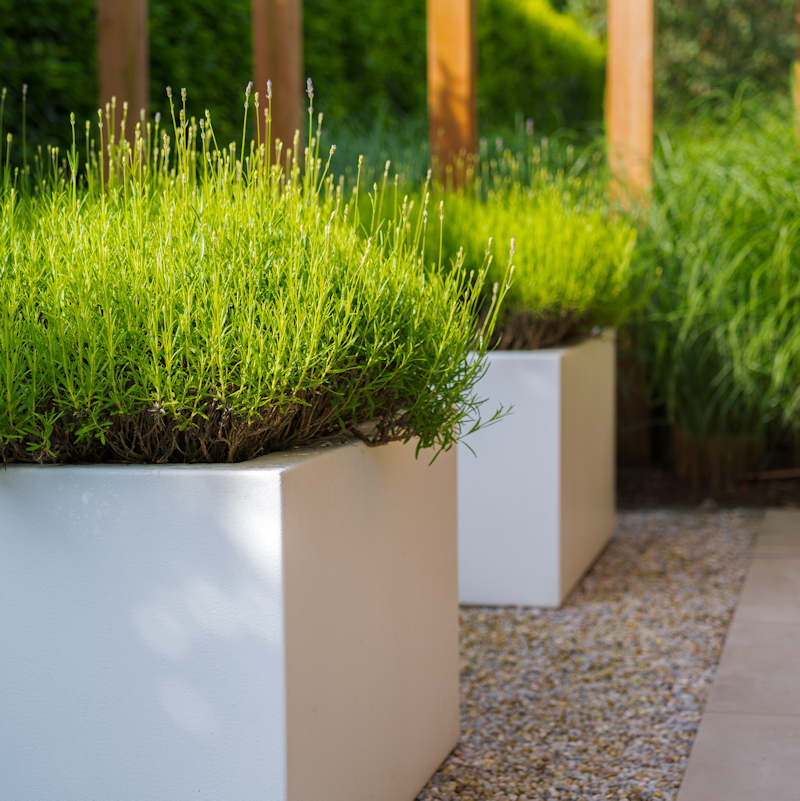 Buxus polyester 50x50x100 cm plantenbak
