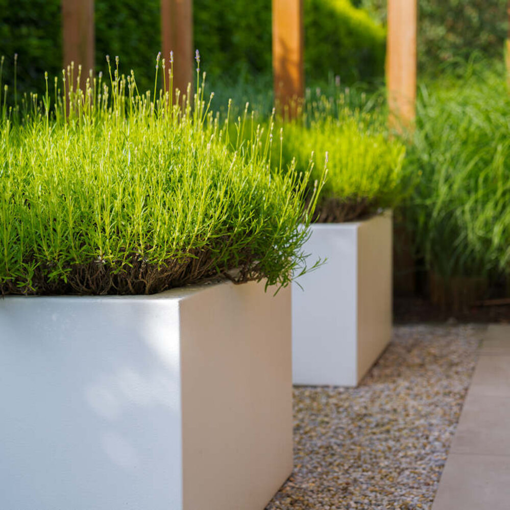 Buxus polyester 40x40x100 cm plantenbak Buxus polyester 40x40x100 cm plantenbak