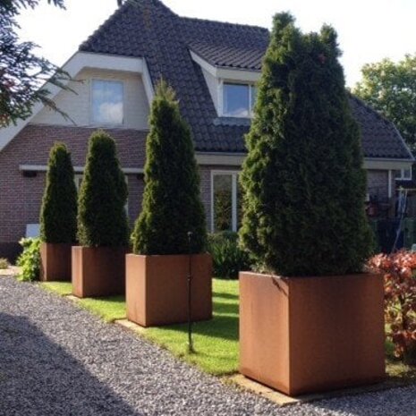 Andes cortenstaal 100x100x40x60 cm hoek plantenbak Andes cortenstaal 100x100x40x60 cm hoek plantenbak