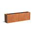 Andes cortenstaal 200x40x60 cm plantenbak Andes cortenstaal 200x40x60 cm plantenbak