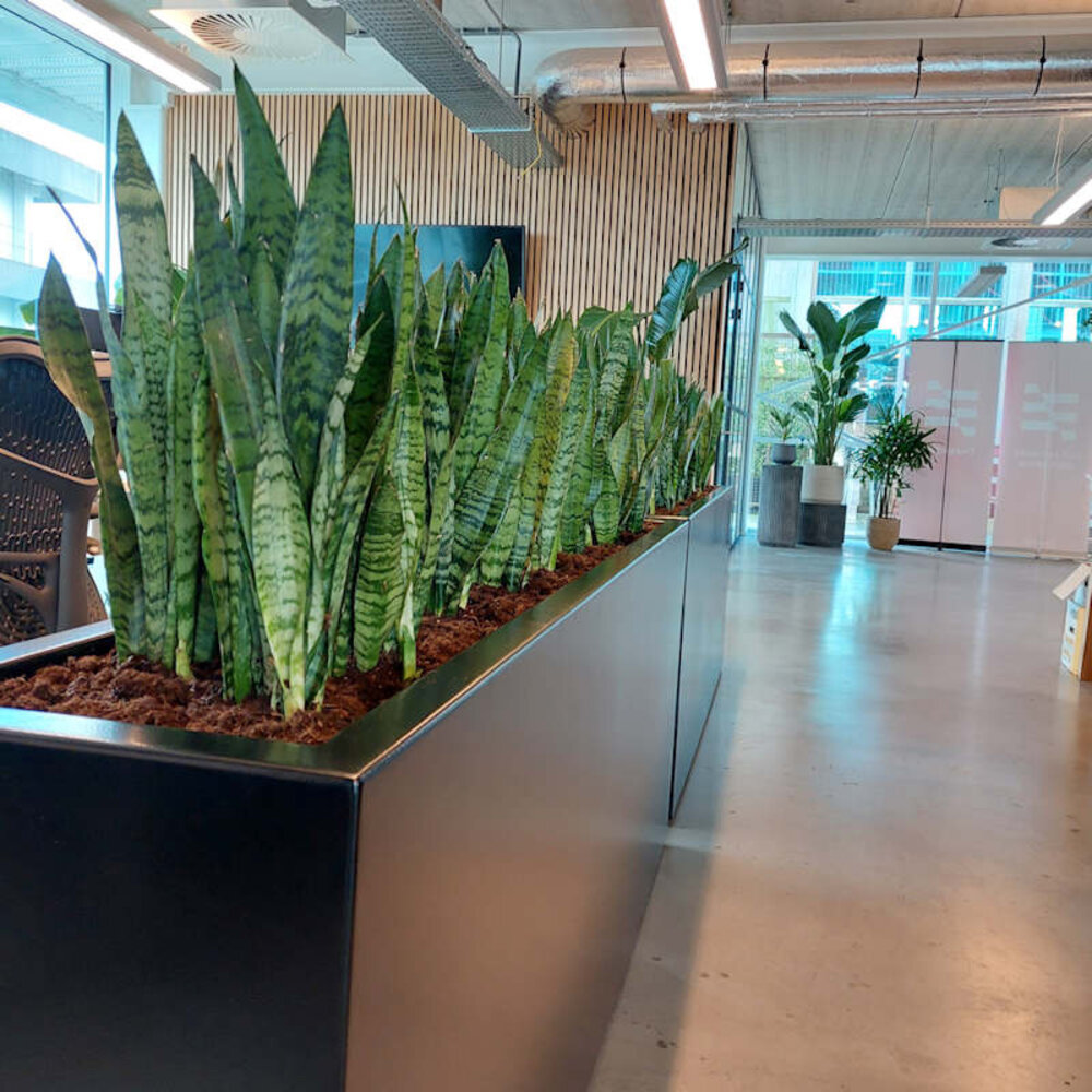 FLORIDA aluminium 100x100x40x60 cm hoekbak