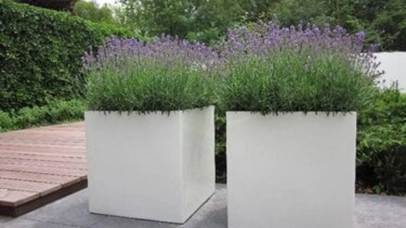 Waarom een grote polyester plantenbak buiten niet mag ontbreken