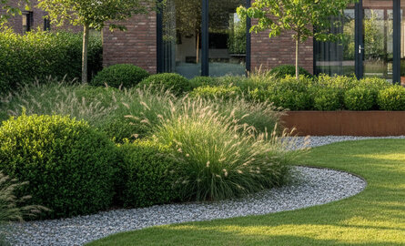 Tuinieren op  zandgrond: tips van de  hovenier