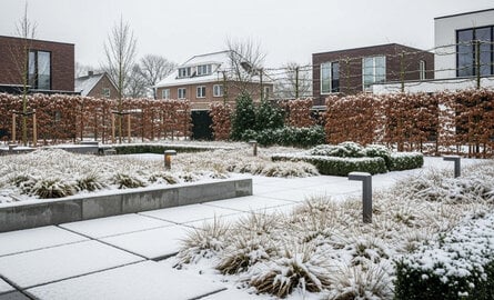 Sneeuw in de tuin? praktische tips van de hovenier