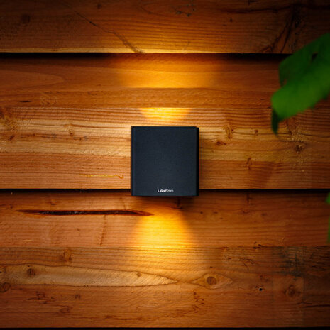 Lightpro Ixion wandlamp 12V