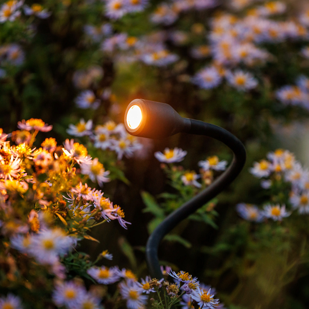 Lightpro Xible 12V