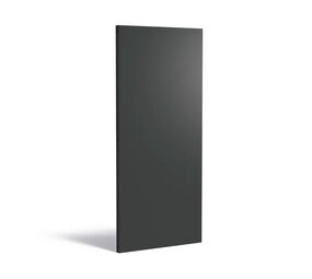 Sfeerpaneel staal BASIC 80 x 5 x 180 cm