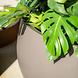 LORA polyester 120x60 cm ronde plantenbak LORA polyester 120x60 cm ronde plantenbak