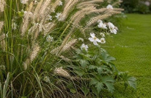 rustgevende beplanting van siergrassen en vaste planten