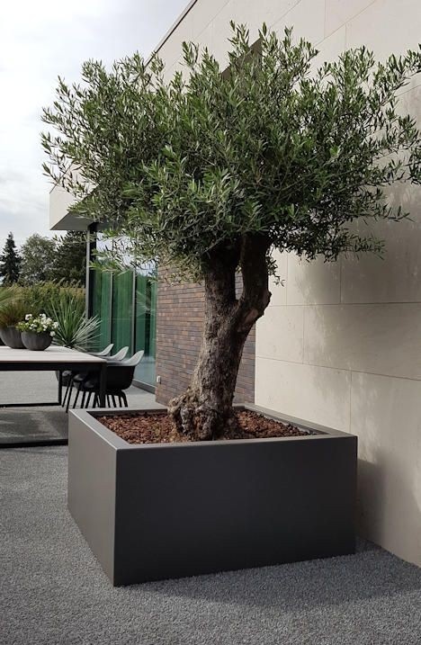 plantenbakken zijn ideaal voor op een dakterras