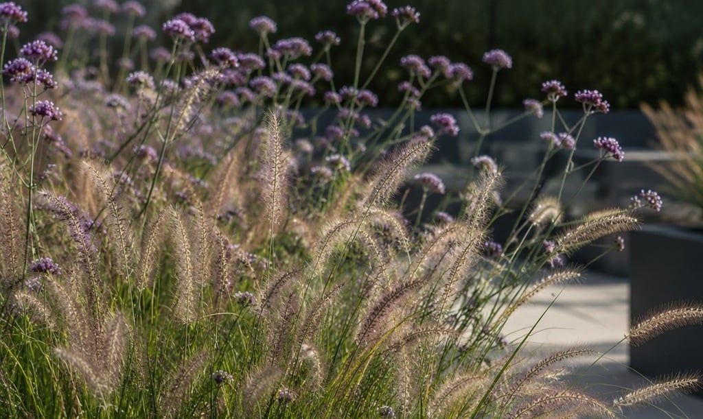 Siergrassen gecombineerd met Verbena bonariensis