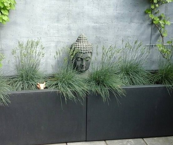Buxus polyester 100x100x40 cm plantenbak Buxus polyester 100x100x40 cm plantenbak