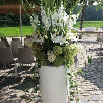 Canna Hoogglans polyester 80x100 cm plantenbak