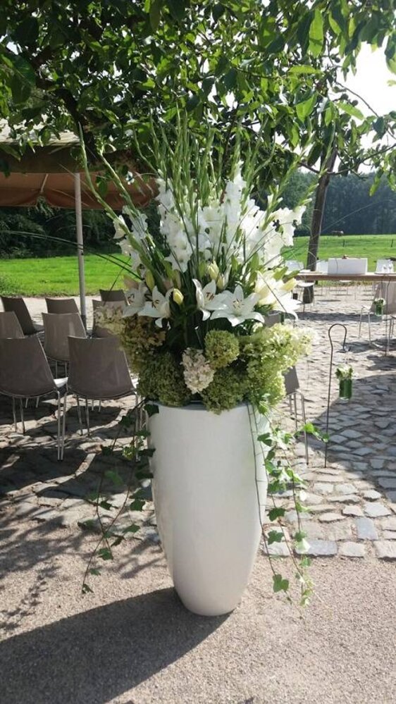 Canna Hoogglans polyester 72x84 cm plantenbak Canna Hoogglans polyester 72x84 cm plantenbak