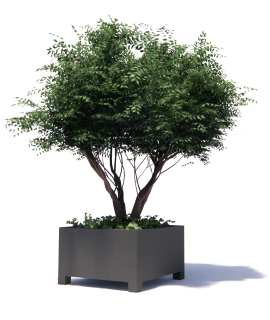 Tuinvoordeel.eu Service