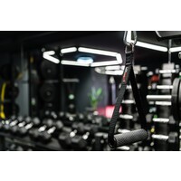 Lifemaxx® LMX15.PROV2 Strap handle PRO V2