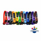 Wagging Tailz Follow On Collars Wagging Tailz Follow On Collars
