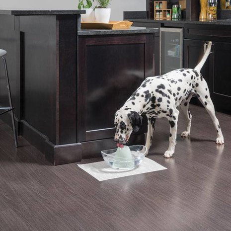 Petsafe Petsafe Drinkwell Drinkfontein voor dieren