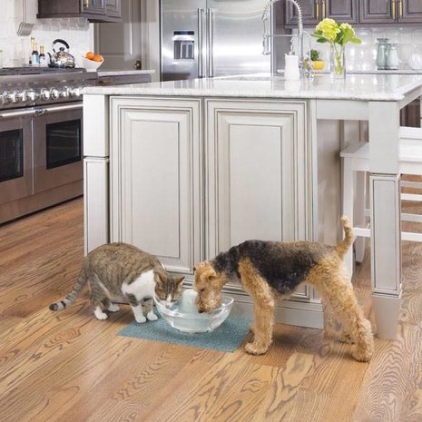 Petsafe Petsafe Drinkwell Drinkfontein voor dieren