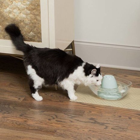 Petsafe Petsafe Drinkwell Drinkfontein voor dieren