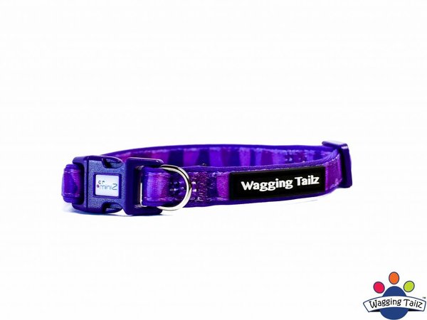 Wagging Tailz Wagging Tailz Miniz Camou Collars Wagging Tailz Wagging Tailz Miniz Camou Collars