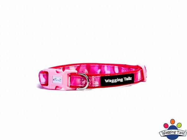 Wagging Tailz Wagging Tailz Miniz Camou Collars Wagging Tailz Wagging Tailz Miniz Camou Collars