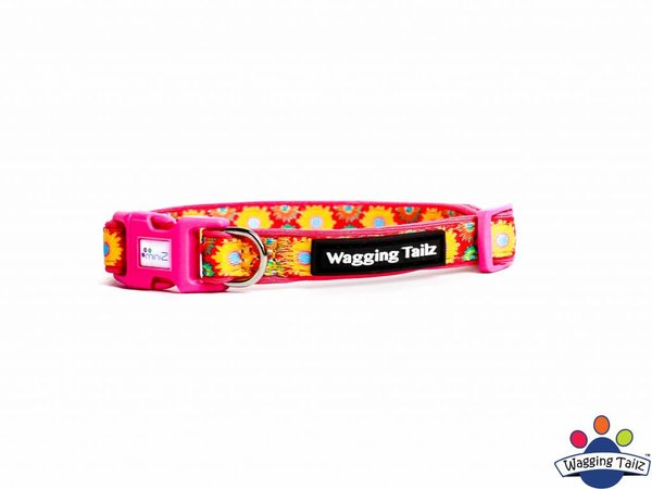 Wagging Tailz Wagging Tailz Miniz halsbandjes Flowercollectie Wagging Tailz Wagging Tailz Miniz halsbandjes Flowercollectie