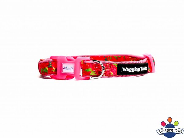 Wagging Tailz Wagging Tailz Miniz halsbandjes Flowercollectie Wagging Tailz Wagging Tailz Miniz halsbandjes Flowercollectie